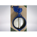 Butterfly Valve for Paper and Pulp Industrial